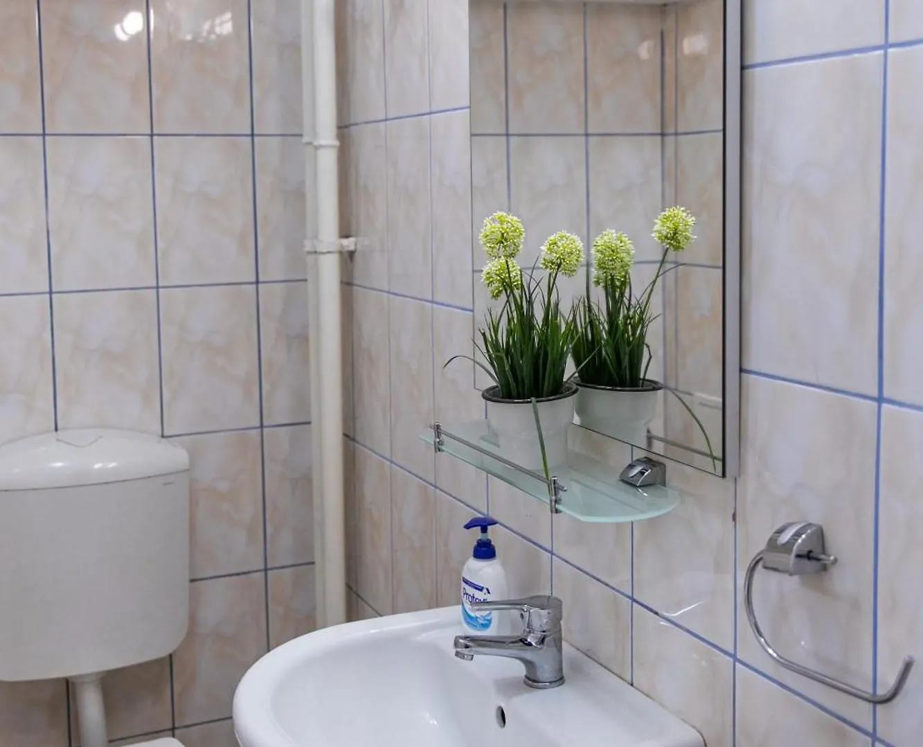 Color Apartment Regina Elisabeta 23 Bucharest Romania